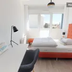 Rent 1 bedroom apartment of 18 m² in Villeurbanne