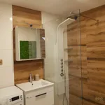 Rent 3 bedroom apartment in Hodonín