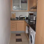 Rent 1 bedroom apartment of 55 m² in dublin