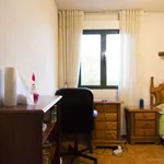 Rent a room of 71 m² in madrid