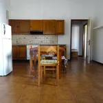 Rent 2 bedroom apartment of 60 m² in Alessandria