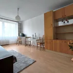 Rent 1 bedroom apartment of 27 m² in Kielce