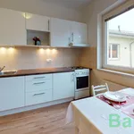 Rent 2 bedroom apartment of 40 m² in Brno