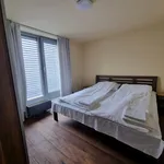 Pronajměte si 3 ložnic/e byt o rozloze 190 m² v Prague