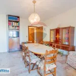 Rent 6 bedroom apartment of 252 m² in Palermo