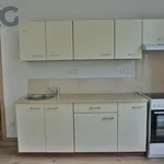 Rent 1 bedroom apartment of 30 m² in Milevsko