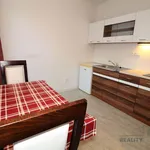 Rent 1 bedroom apartment of 25 m² in Brno