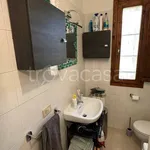 Rent 1 bedroom apartment of 50 m² in Pisa