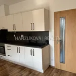 Pronajměte si 1 ložnic/e byt o rozloze 28 m² v České Budějovice