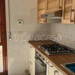 Rent 2 bedroom house of 50 m² in Manfredonia