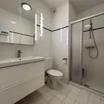 Rent 1 bedroom apartment in Brussels