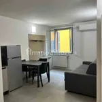 Rent 2 bedroom apartment of 40 m² in Modena