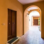 Rent 1 bedroom apartment of 32 m² in bologna