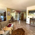 Rent 9 bedroom house of 160 m² in L'Aquila