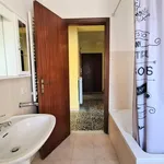 Rent 3 bedroom apartment of 80 m² in catanzaro