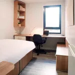 Rent 1 bedroom apartment in London