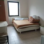 Rent 1 bedroom apartment of 35 m² in Cassino