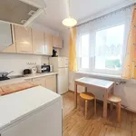 Rent 2 bedroom apartment of 46 m² in Kielce