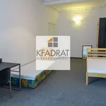 Rent 4 bedroom apartment of 118 m² in Szczecin