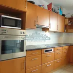 Rent 3 bedroom apartment of 105 m² in Warszawa