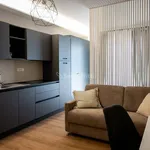 Rent 1 bedroom house of 55 m² in Pescara