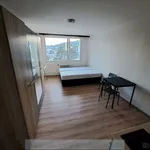 Rent 1 bedroom house in Prague