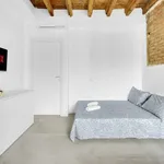 Rent 1 bedroom apartment in milan