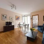 Rent 3 bedroom apartment of 50 m² in Milano