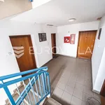 Rent 1 bedroom apartment of 62 m² in Zagreb