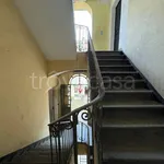 Rent 1 bedroom apartment of 20 m² in Torino