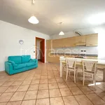 Rent 2 bedroom apartment of 48 m² in Brendola