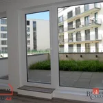 Rent 1 bedroom apartment of 39 m² in Pilsen