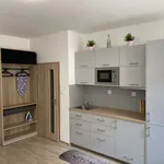 Rent 1 bedroom apartment of 34 m² in Ostrava