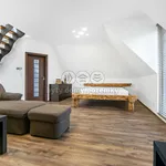 Rent 1 bedroom apartment in Beroun