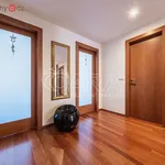 Rent 3 bedroom apartment of 95 m² in Praha