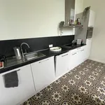 Rent 1 bedroom apartment in Tienen