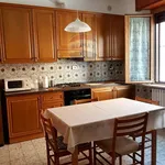 Rent 3 bedroom apartment of 90 m² in Ancona