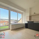 Rent 2 bedroom apartment of 97 m² in Ostrava