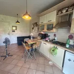 Rent 2 bedroom apartment of 50 m² in Roma