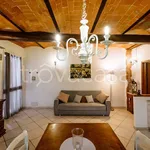 Rent 2 bedroom apartment of 60 m² in Grosseto