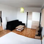 Rent 1 bedroom apartment of 33 m² in Ústí nad Labem