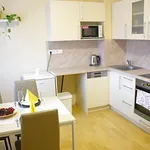 Rent 1 bedroom apartment of 50 m² in Prague