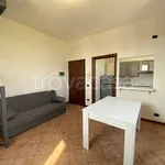 Rent 2 bedroom apartment of 54 m² in Casalmaggiore