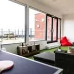 Rent 1 bedroom apartment in Cardiff