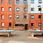 Rent 1 bedroom apartment in Sheffield