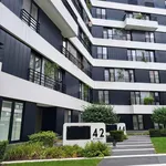 Rent 1 bedroom apartment in Hasselt