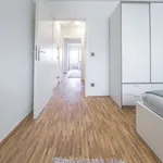 Rent 2 bedroom apartment of 45 m² in Düsseldorf