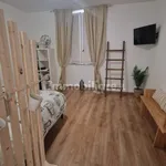 Rent 2 bedroom apartment of 40 m² in Viterbo