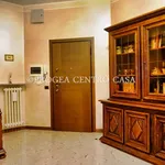 Rent 3 bedroom apartment of 75 m² in Dalmine