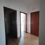 Rent 3 bedroom apartment of 100 m² in Pescara